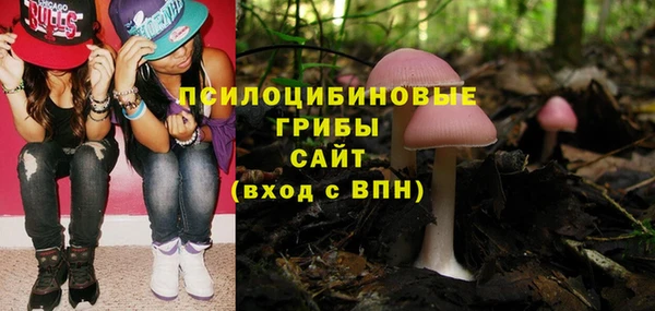 спиды Абаза